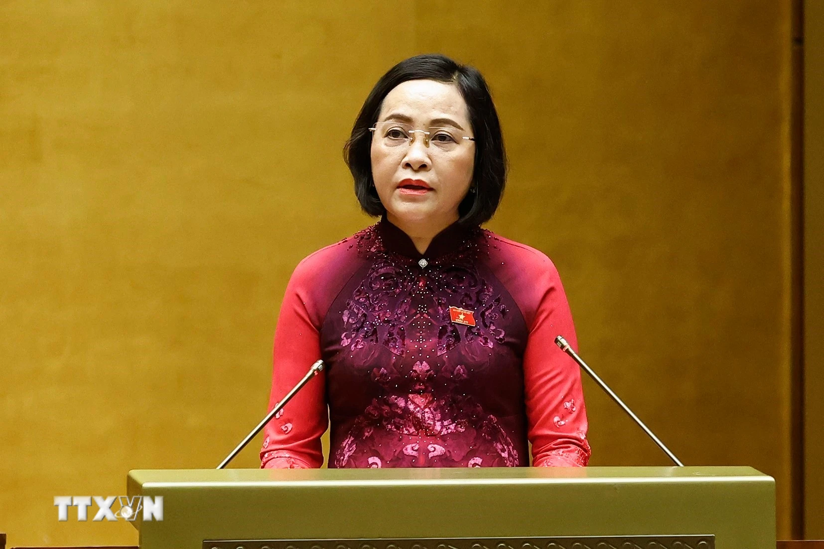 Phó Chủ tịch Quốc hội Nguyễn Thị Thanh báo cáo thành công cuộc bầu cử khóa XVI