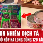 :Chi tiết vụ 120 tấn thịt lợn nhiễm dịch tả tại Công ty Đồ hộp Hạ Long