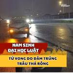 Nam sinh Đại học Luật tử vong do lái xe đâm trúng trâu thả rông 