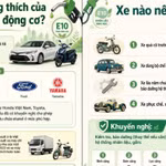 Bộ Công Thương cảnh báo rủi ro với một số dòng xe khi sử dụng xăng E10