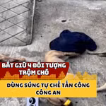Bắt giữ 4 đối tượng trộm chó, dùng súng tự chế tấn công công an