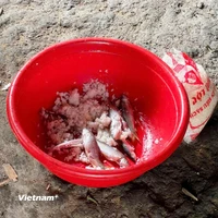 Hình minh họa: Vụ ngộ độc cá ủ chua xảy ra tại Đà Nẵng ngày 9/3. (Ảnh: PV/Vietnam+)