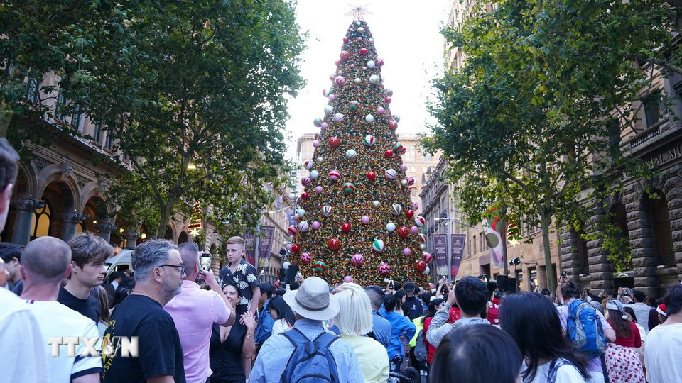 Quảng trường Martin Place, nơi đặt cây thông Giáng sinh lớn, được trang trí với ánh đèn và phụ kiện lấp lánh. (Ảnh: Lê Đạt/TTXVN)