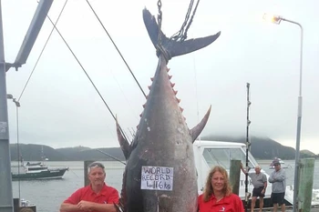 Một phụ nữ câu được con cá ngừ khổng lồ hơn 40 tỷ đồng