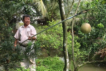 Ông Lê Phước Lộc trình diễn cách sử dụng kéo cắt tỉa đa năng. (Ảnh: Minh Trí/TTXVN)