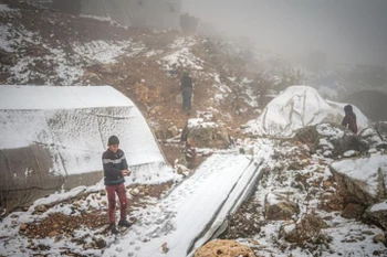 Ảnh minh họa. (Nguồn: The New Arab)