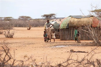 Người dân tại khu vực bị ảnh hưởng bởi hạn hán ở thị trấn Laisamis, Marsabit (Kenya), hồi tháng Tám năm ngoái. (Ảnh: THX/TTXVN)