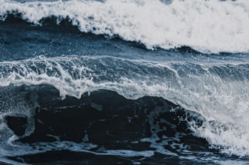 Ảnh minh họa. (Nguồn: Times Now)