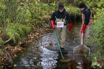 Rò rỉ hóa chất nghiêm trọng tại Phần Lan. (Nguồn: Vaelluskala)