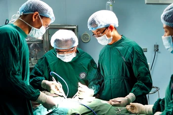 Ảnh chỉ có tính minh họa. (Ảnh: Dương Ngọc/TTXVN)