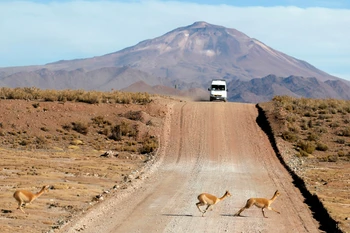 Việc một cậu bé 5 tuổi trải qua 24 giờ đồng hồ giữa sa mạc hoang vắng là một kỳ tích. (Ảnh minh họa: news18.com)