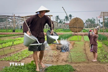 Du khách trải nghiệm tưới rau tại làng rau Trà Quế. (Ảnh: TTXVN phát)