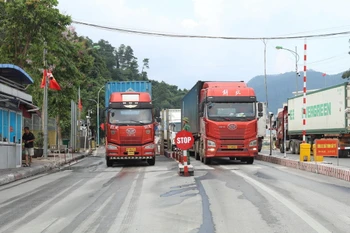 Phương tiện nhập khẩu hàng hóa vào Việt Nam qua cửa khẩu quốc tế Hữu Nghị (Lạng Sơn). (Ảnh: Quang Duy/TTXVN)