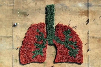 Hơn 5.596 người tại Philippines xếp hình lá phổi người lập kỷ lục Guinness ngày 16/3. (Ảnh: Philstar Global)