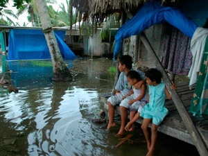 Ảnh minh họa. (Nguồn: Internet)