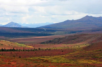 Thấy đài nguyên hàng triệu năm tuổi dưới dải băng Greenland