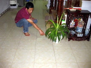 (Ảnh minh họa: Internet)