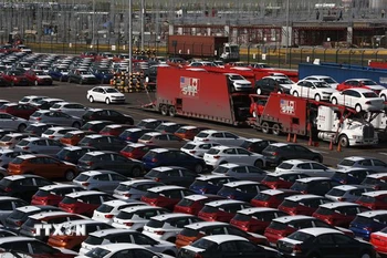 Ảnh minh họa. (Nguồn: TTXVN)