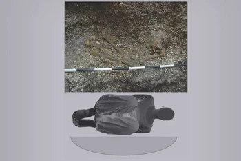 (Nguồn: livescience.com)