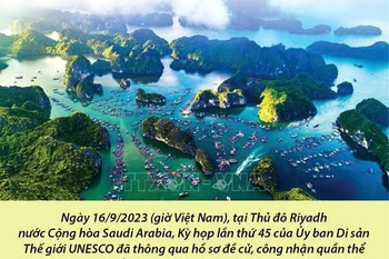 Quần thể Vịnh Hạ Long-Quần đảo Cát Bà là Di sản Thiên nhiên Thế giới