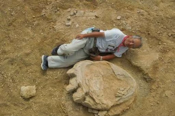 Dâu chân khủng long khổng lồ. (Nguồn: phys.org)