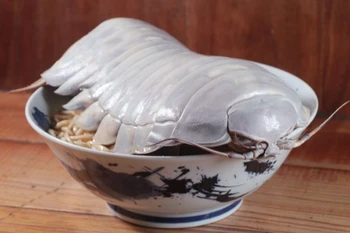 Thưởng thức món mỳ ramen kết hợp bọ biển khổng lồ 14 chân