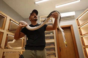 Doanh nhân Saudi Arabia và bộ sưu tập nghệ thuật sự sống về loài trăn