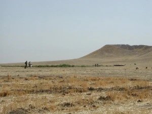 Những gò đất bao phủ khu vực định cư của người cổ đại như Tell Brak ở miền Đông Bắc Syria. (Ảnh: Jason Ur)