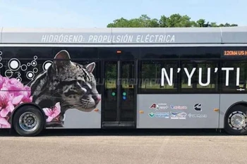 Mẫu xe buýt sử dụng nhiên liệu khí hydro. (Nguồn: Facebook)