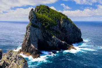 Nhiệt độ bề mặt nước biển đã tăng từ 0,63 đến 1,05 độ C trên khắp các vùng đại dương của New Zealand kể từ năm 1982. (Nguồn: NZ Herald)