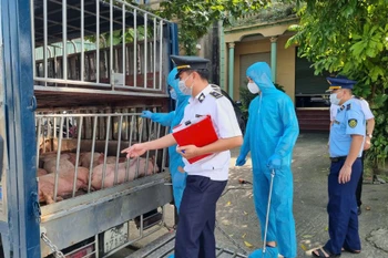 Lực lượng liên ngành tỉnh Thái Nguyên kiểm tra phương tiện chở động vật lưu thông trên địa bàn. (Ảnh: dms)