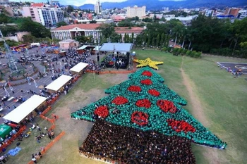 Honduras: Hơn 2.900 người xếp hình cây thông lớn nhất thế giới