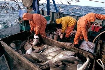 Đảo Greenland đình chỉ thỏa thuận đánh bắt cá với Nga