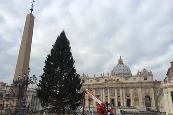 Vatican chuẩn bị sẵn sàng cho lễ Giáng sinh 2013