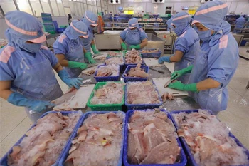 Chế biến cá tra phi lê xuất khẩu. (Ảnh: Vũ Sinh/TTXVN)