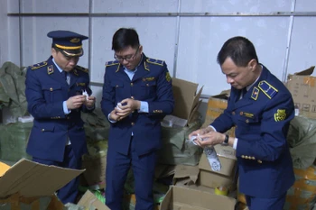 Lực lượng chức năng kiểm tra hàng hóa vi phạm. (Ảnh: PV/Vietnam+)