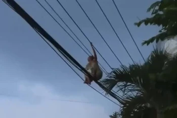 [Video] "Thót tim" cảnh người phụ nữ đi trên dây điện ở Bình Dương