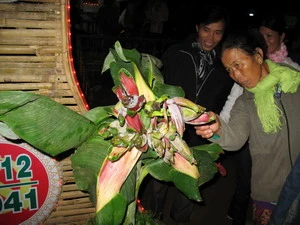 Người dân hiếu kỳ xem cây chuối lạ. (Nguồn: Nguyễn Sơn)