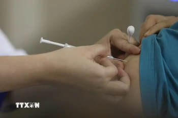 Ảnh minh họa. (Nguồn: TTXVN)