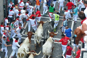 Những màn rượt đuổi thót tim tại lễ hội chạy với bò tót ở Pamplona, Tây Ban Nha ngày 12/7/2019. (Ảnh: AFP/TTXVN)