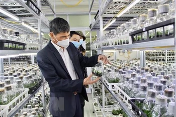 Đoàn công tác khảo sát khu nhà thực nghiệm tại Viện Nghiên cứu Rau quả. (Ảnh: Nguyễn Thắng/TTXVN)