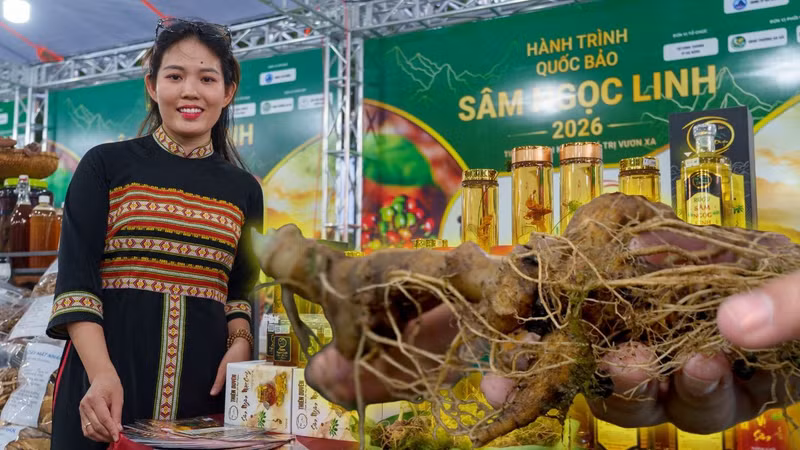 Rộn rã đêm hội Sâm Ngọc Linh: Trải nghiệm văn hóa đại ngàn giữa lòng Đà Nẵng