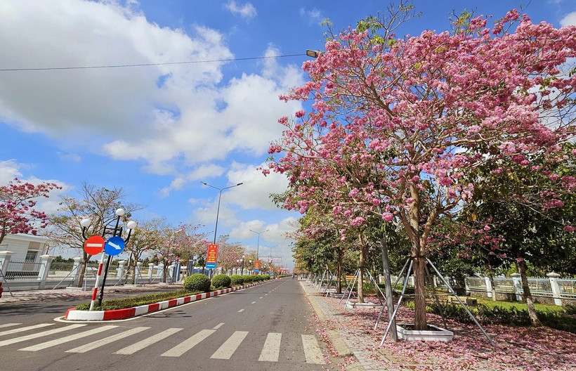 Tuyến đường dẫn vào trung tâm hành chính huyện Châu Thành, tỉnh Sóc Trăng. (Ảnh: Trung Hiếu/TTXVN)