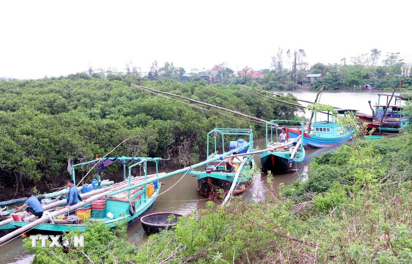 Rất nhiều tàu, thuyền vào tránh trú bão ở cầu Thạch Đồng, xã Thạch Khê. (Ảnh: Công Tường/TTXVN)