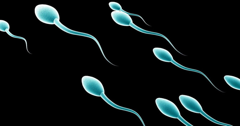 Ảnh minh họa. (Nguồn: Howcast/YouTube)