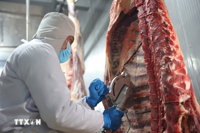 Công điện của Thủ tướng về chấn chỉnh công tác kiểm soát giết mổ gia súc (Ảnh minh họa: Thanh Tân/TTXVN)