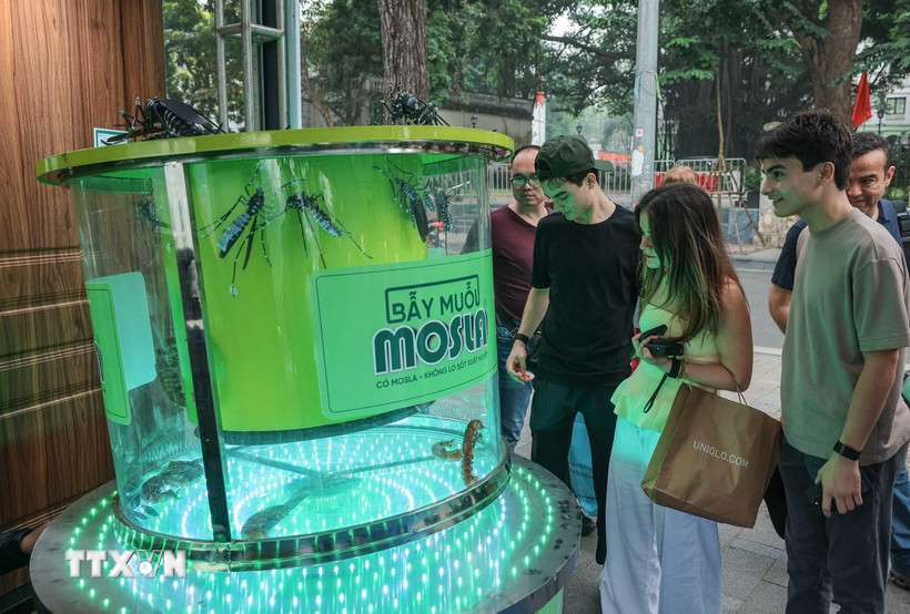 Du khách nước ngoài tham quan gian hàng tại triển lãm Techfest Việt Nam 2025 tại phố đi bộ Hồ Gươm. (Ảnh: Hoàng Hiếu/TTXVN)