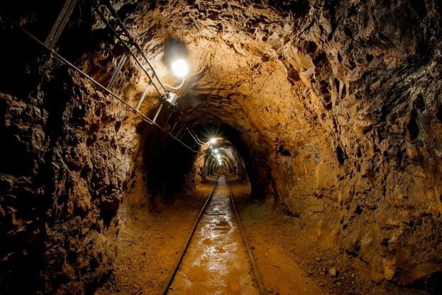 Ảnh minh họa. (Nguồn: Shutterstock)