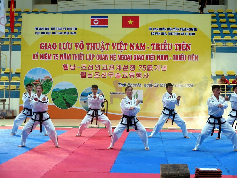 Các vận động viên đến từ Triều Tiên trình diễn võ thuật Taekwondo. (Ảnh: Thu Hằng/TTXVN)