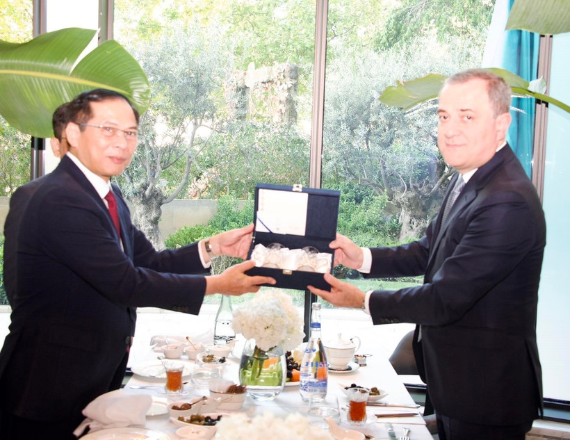 Phó Thủ tướng, Bộ trưởng Ngoại giao Bùi Thanh Sơn hội kiến Bộ trưởng Ngoại giao Azerbaijan Jeyhun Bayramov. (Ảnh: TTXVN phát)